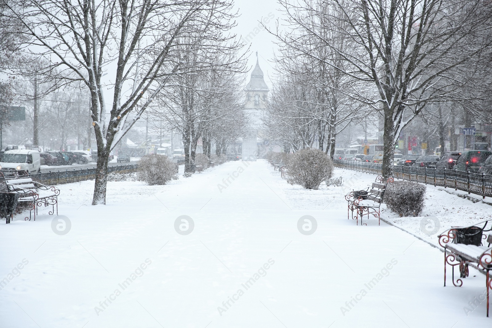 Photo of Winter city park on snow storm day