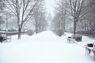 Photo of Winter city park on snow storm day