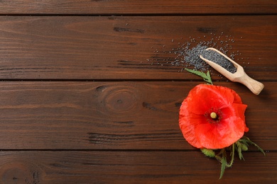 Scoop of poppy seeds and flower on wooden table, flat lay with space for text