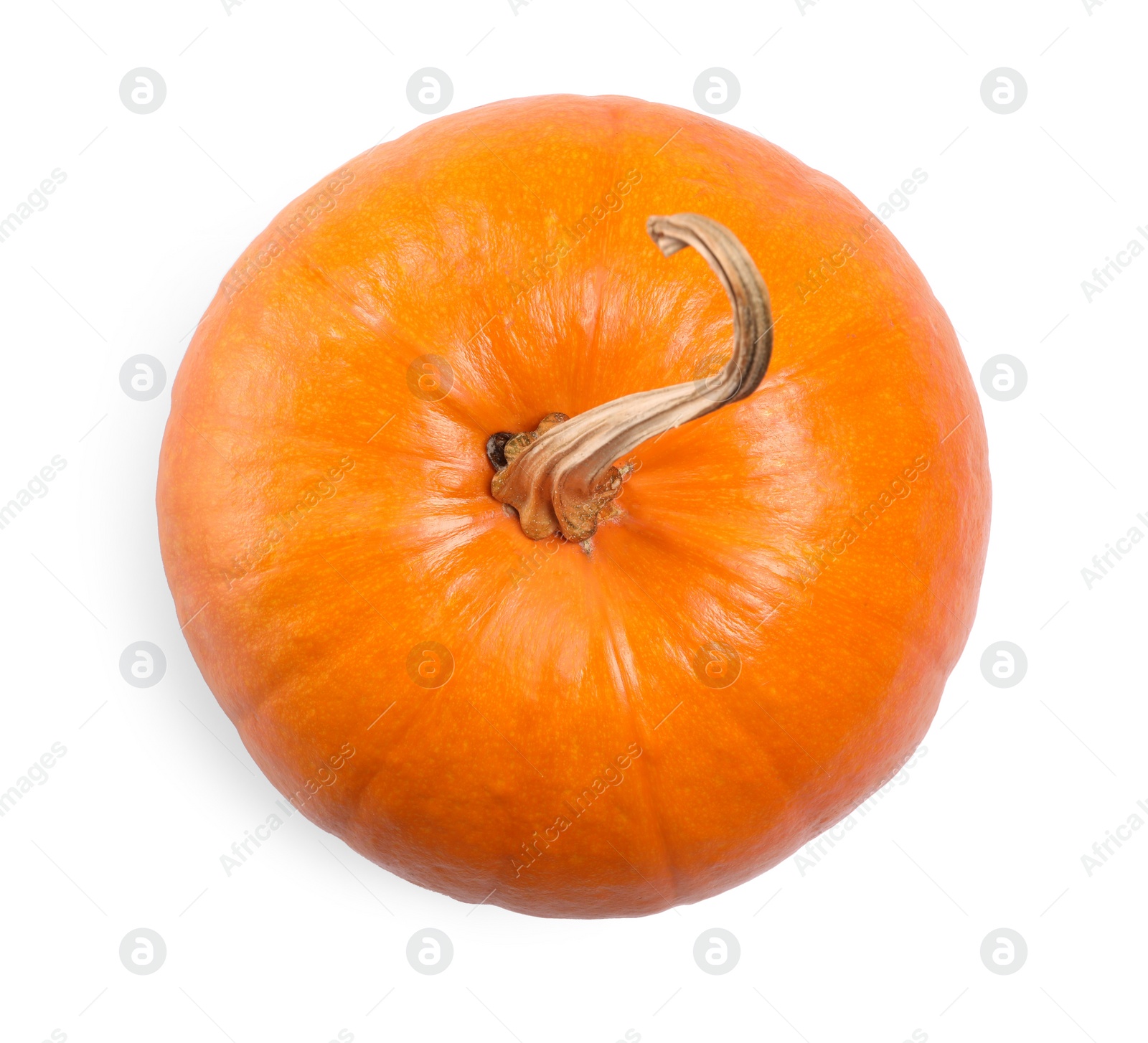 Photo of One fresh orange pumpkin isolated on white, top view
