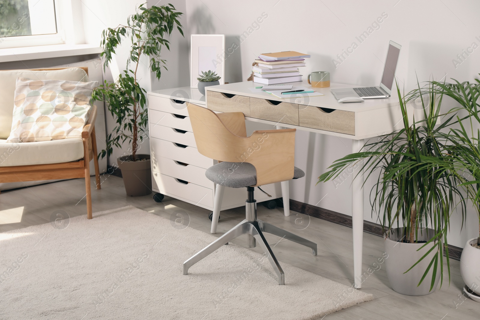 Photo of Beautiful workplace with laptop on white wooden table, chair and houseplants in room