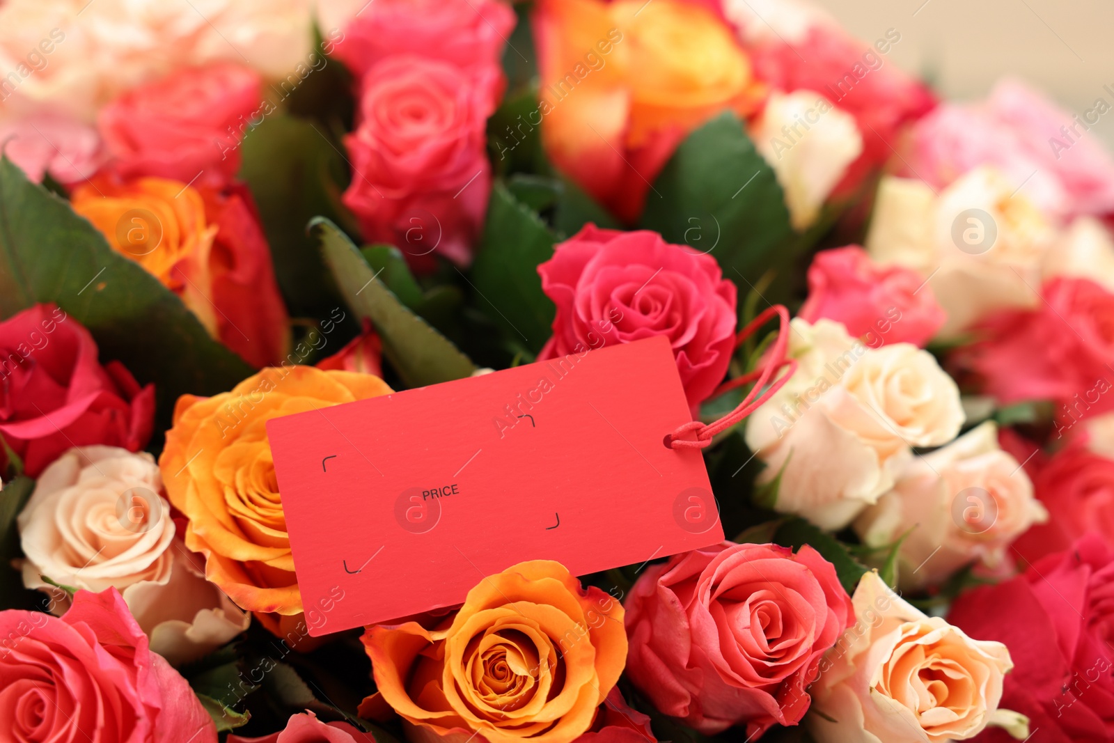 Photo of Bouquet of beautiful roses with blank card, closeup