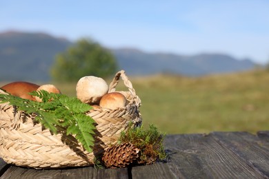 Photo of Basket with mushrooms, fern leaves, cone and moss on wooden table outdoors. Space for text