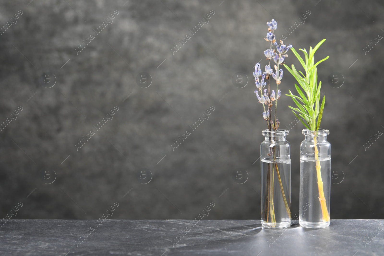 Photo of Bottles with essential oils, lavender and rosemary on grey textured table. Space for text