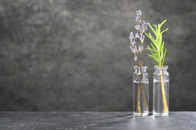 Bottles with essential oils, lavender and rosemary on grey textured table. Space for text