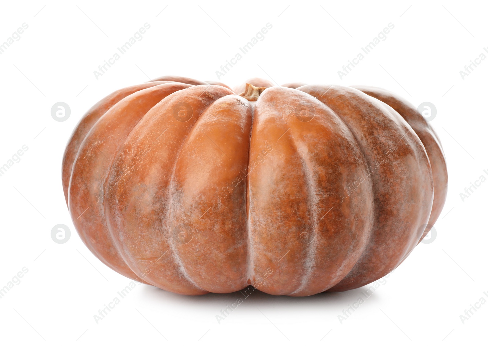 Photo of Fresh raw pumpkin isolated on white. Organic plant