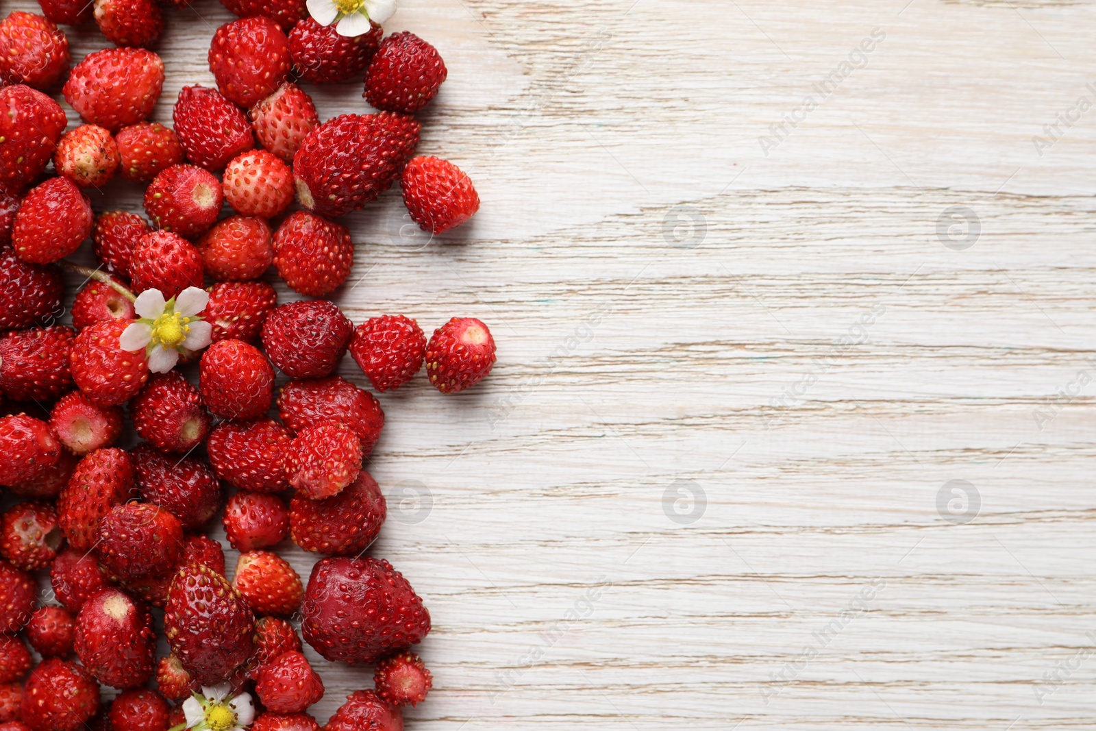 Photo of Many fresh wild strawberries and flowers on white wooden table, flat lay. Space for text