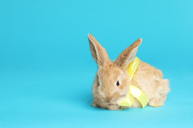 Adorable furry Easter bunny with cute bow tie on color background, space for text