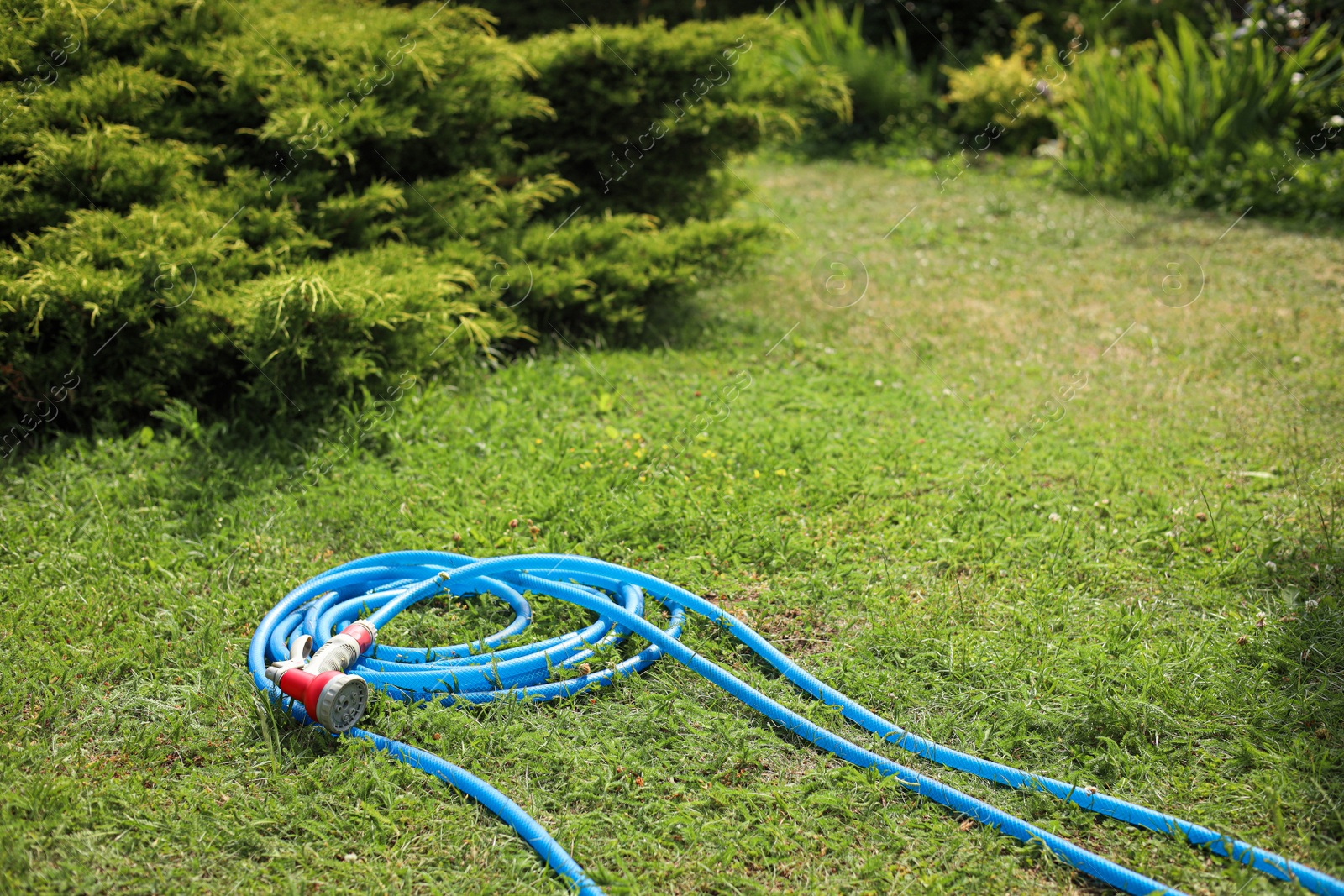 Photo of Watering hose with sprinkler on green grass outdoors, space for text