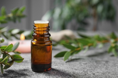 Photo of Bottle of eucalyptus essential oil and plant branches on grey table, space for text