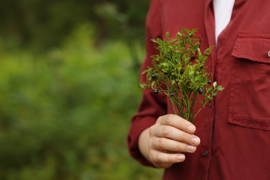 Woman holding branch with ripe bilberries outdoors, closeup. Space for text