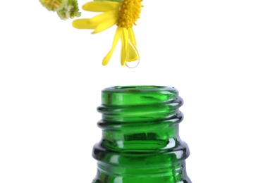 Drop falling down from flower into bottle of essential oil isolated on white