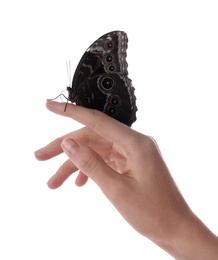 Woman holding beautiful common morpho butterfly on white background, closeup