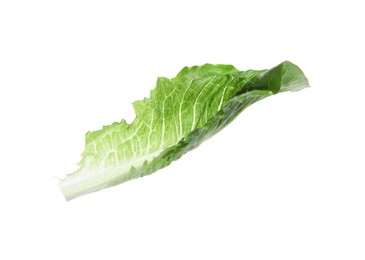 Fresh leaf of green romaine lettuce isolated on white