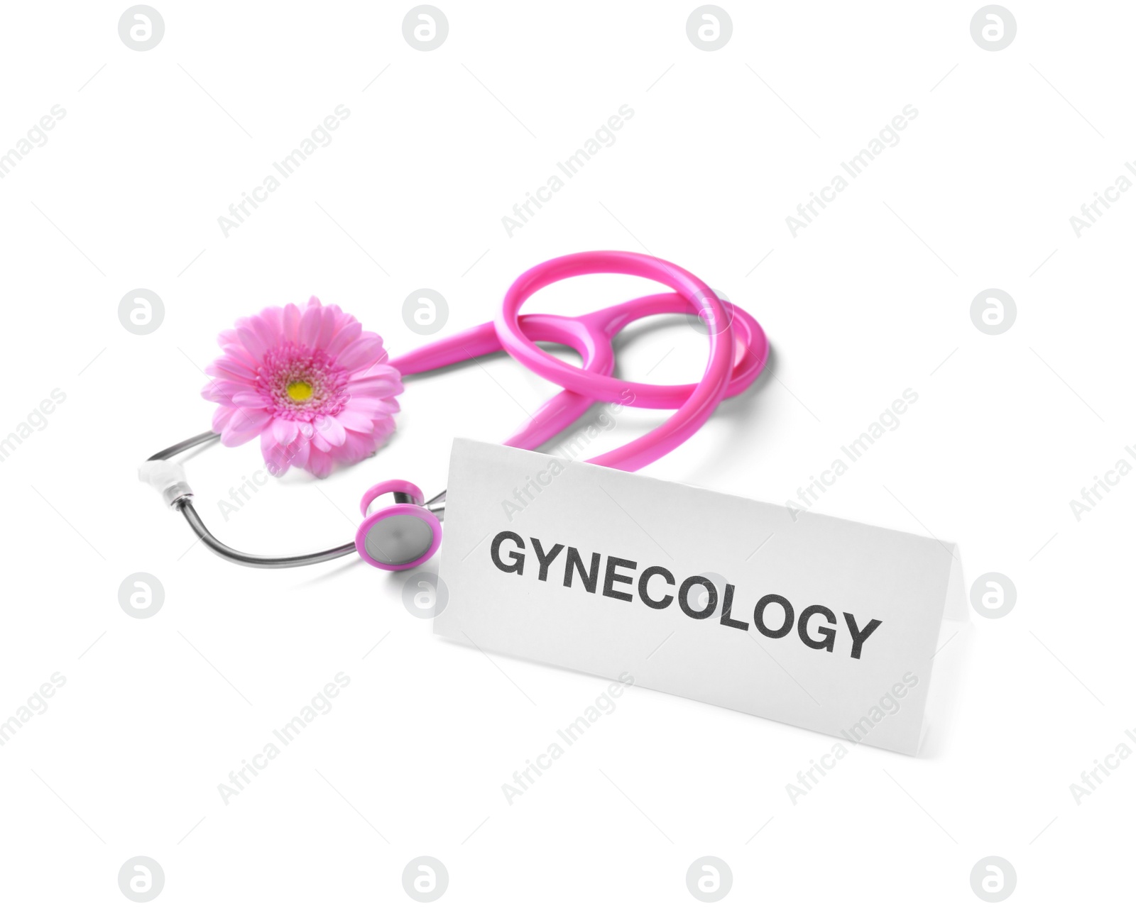 Photo of Card with word Gynecology, flower and stethoscope on white background