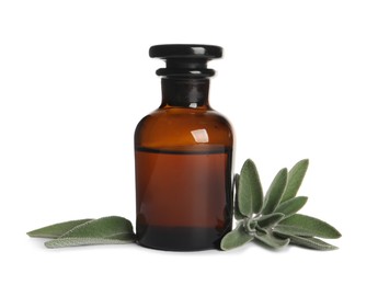 Bottle of essential sage oil, twigs and leaves on white background.