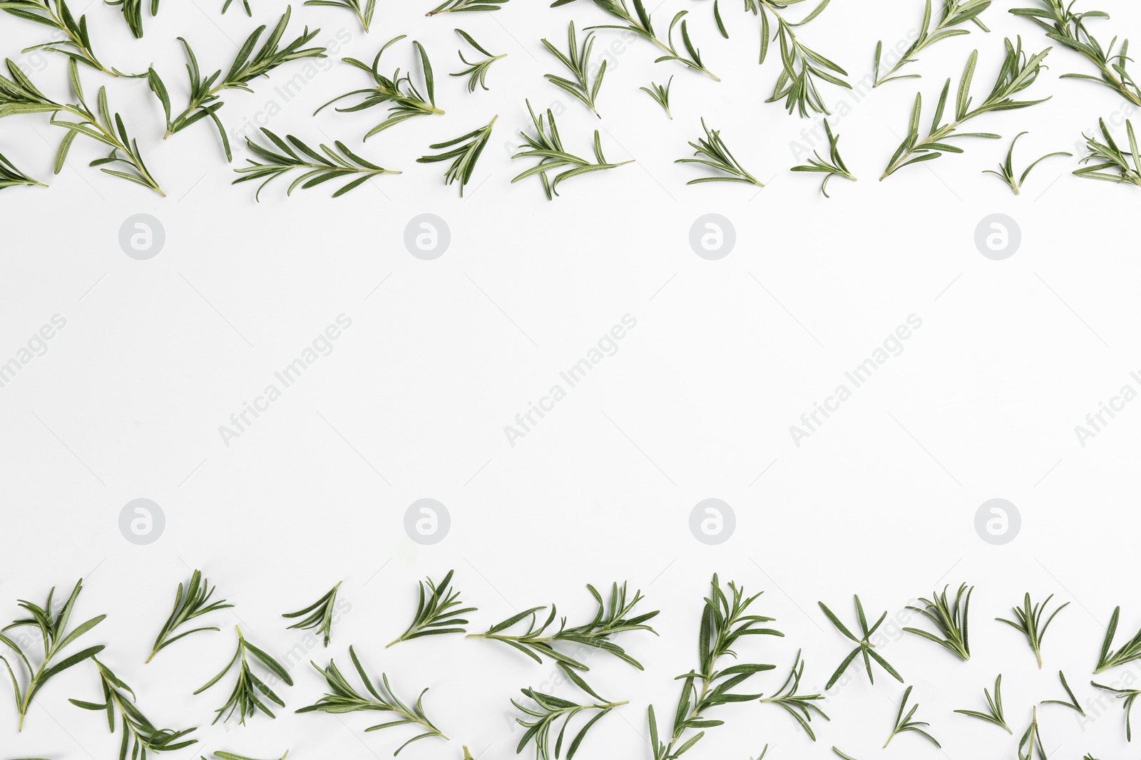 Photo of Composition with fresh rosemary on white background, top view