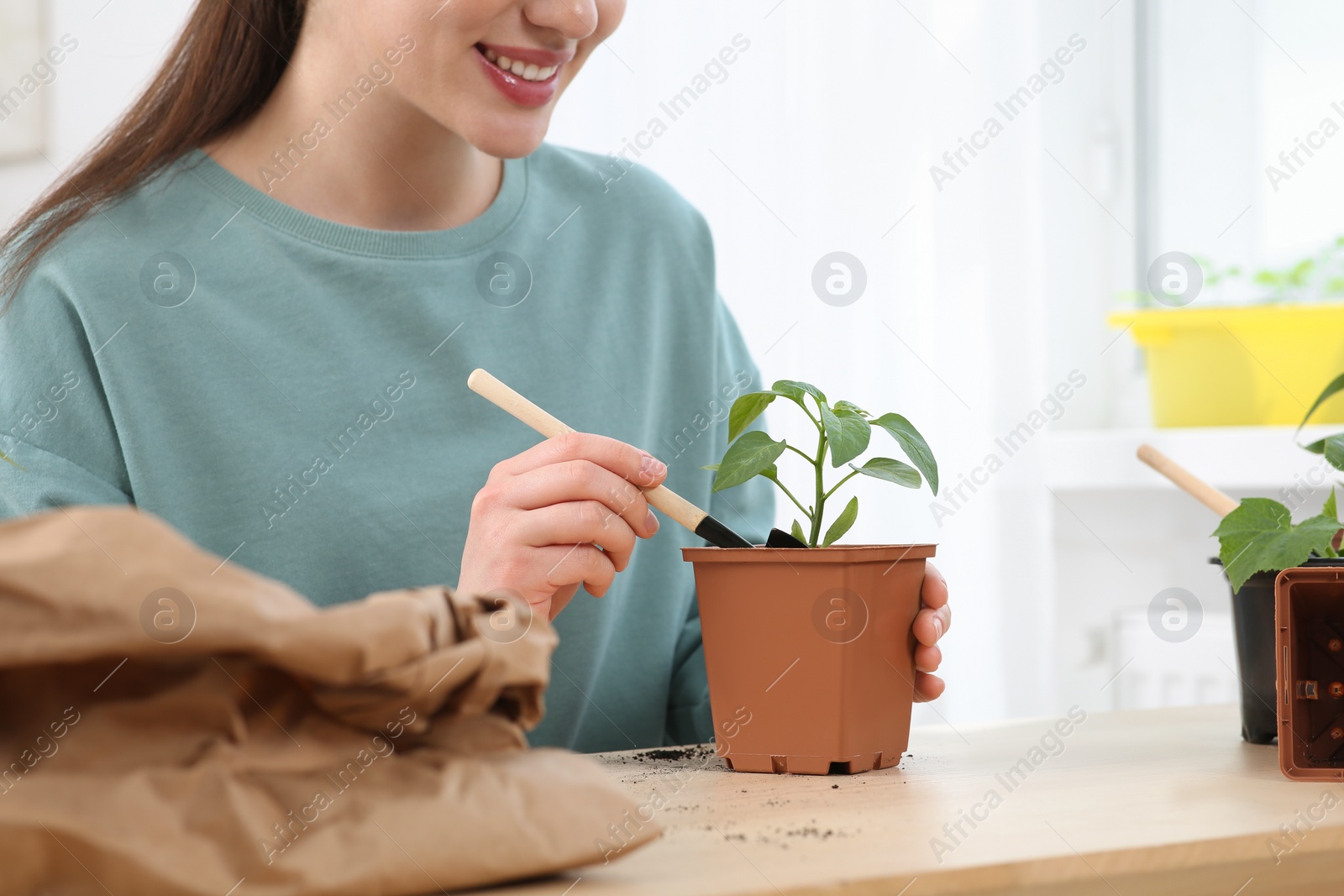 Photo of Woman planting seedling into pot at wooden table indoors, closeup