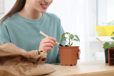 Woman planting seedling into pot at wooden table indoors, closeup