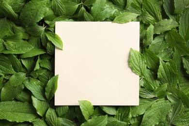 Photo of Blank card on spring green leaves, top view. Space for text