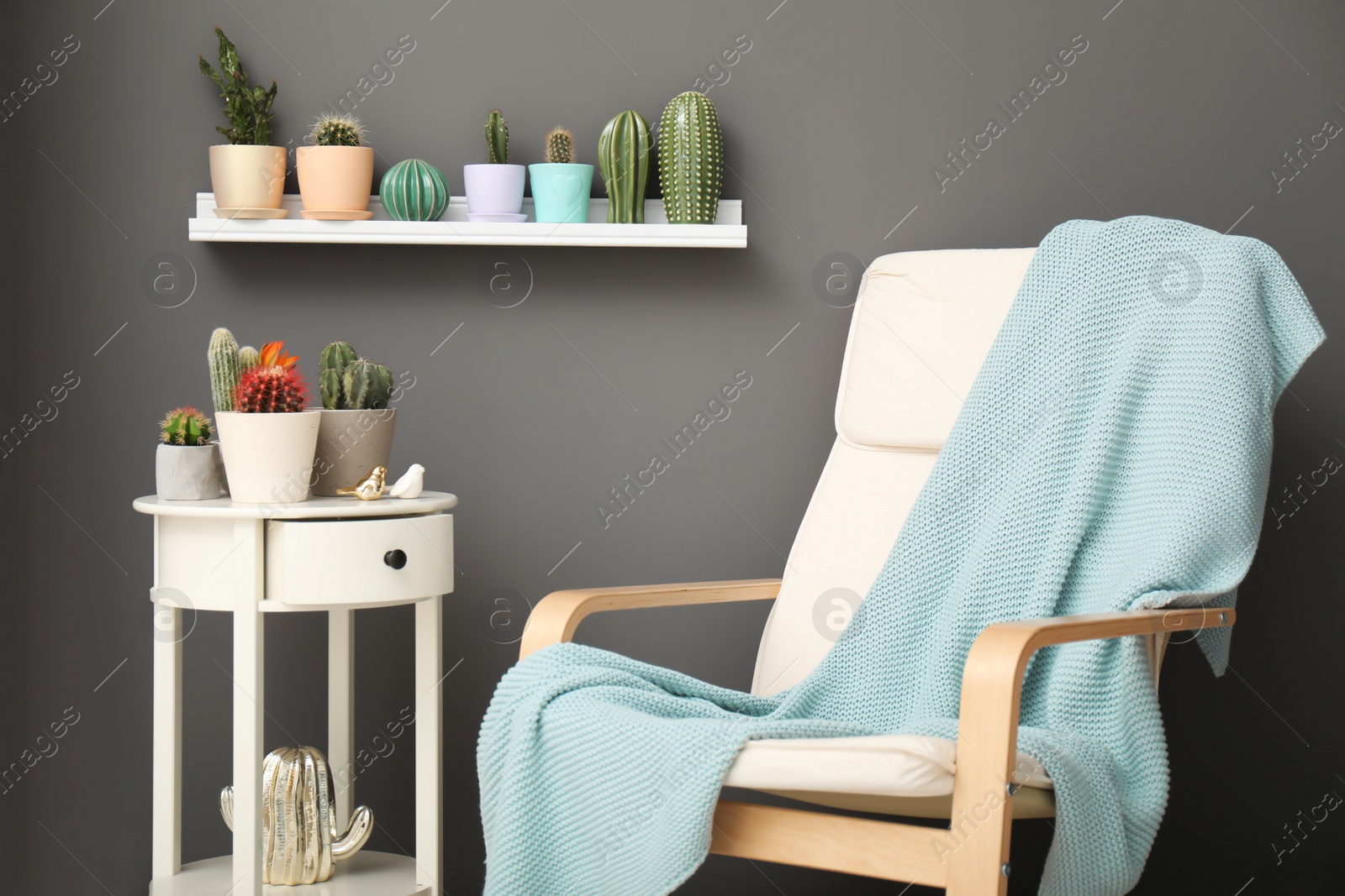 Photo of Beautiful interior with different cacti in flowerpots