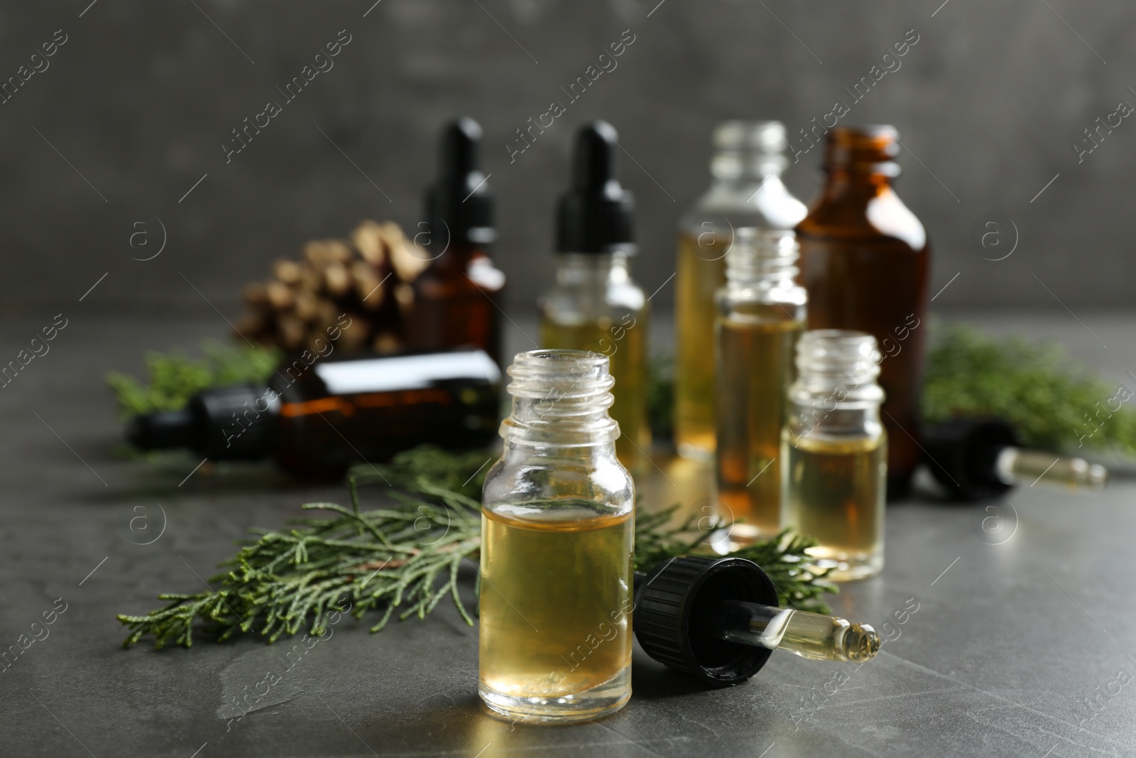 Photo of Composition with bottle of conifer essential oil on grey table