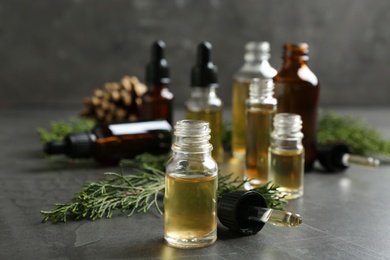 Photo of Composition with bottle of conifer essential oil on grey table