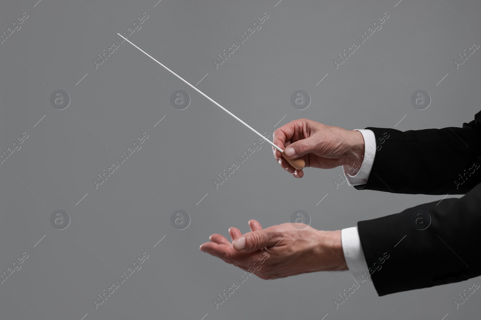 Photo of Professional conductor with baton on grey background, closeup