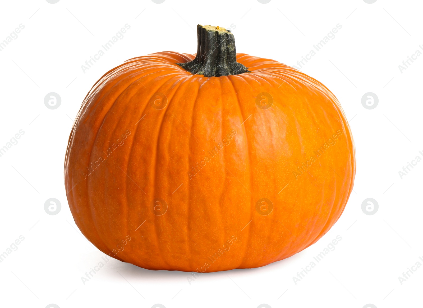 Photo of Fresh ripe pumpkin isolated on white. Organic plant