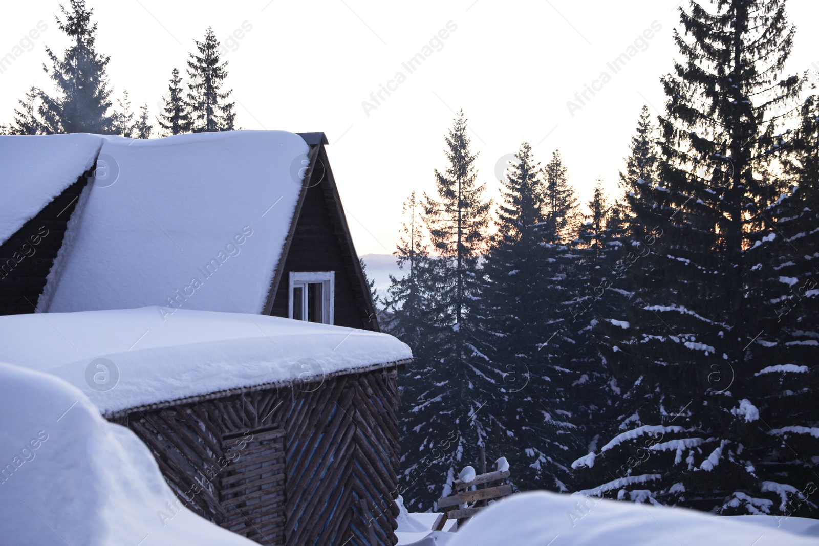 Photo of Modern wooden cottage on snowy day. Winter vacation
