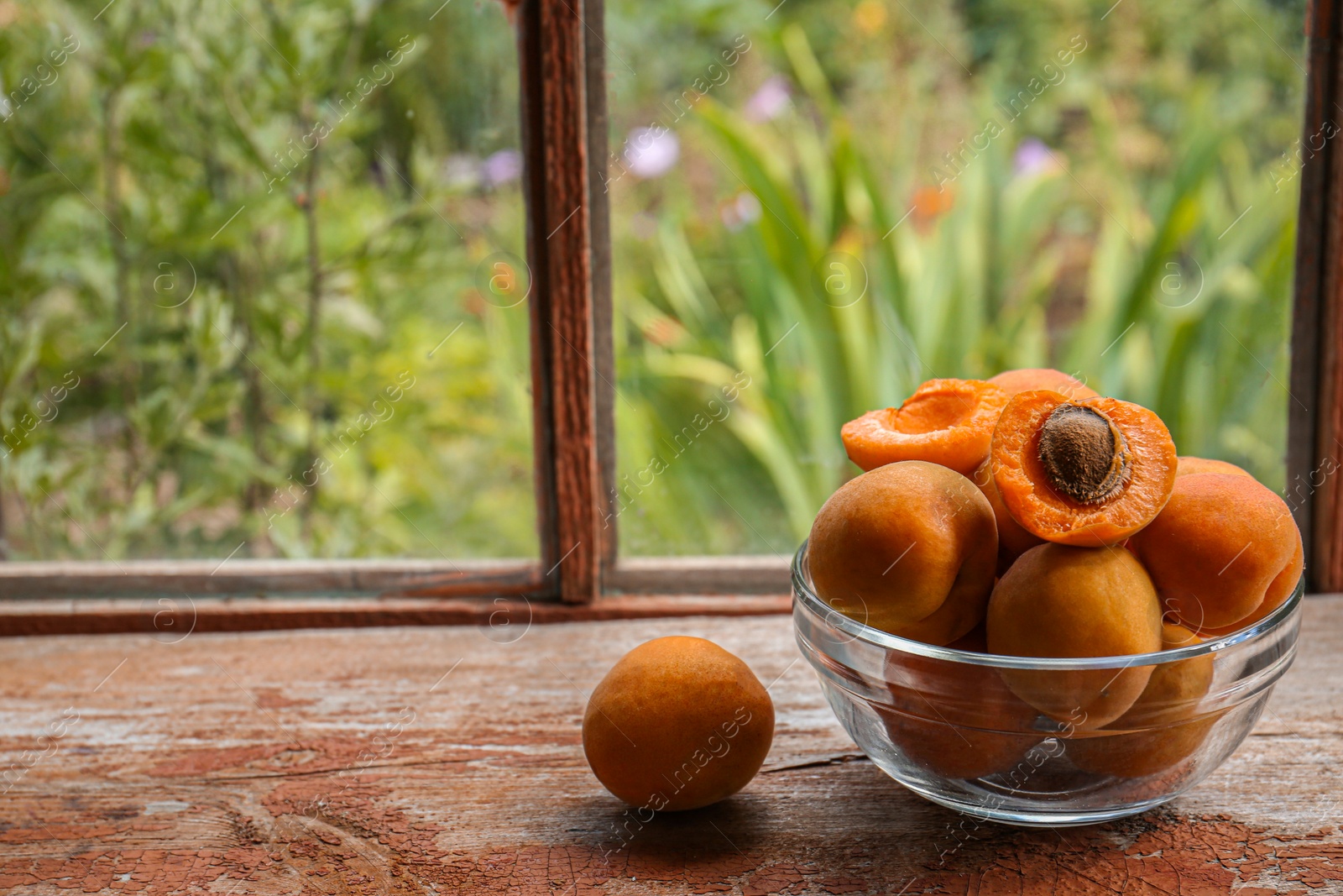 Photo of Glass bowl and delicious ripe apricots on wooden table near window. Space for text