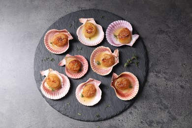Photo of Delicious fried scallops in shells on grey table, top view