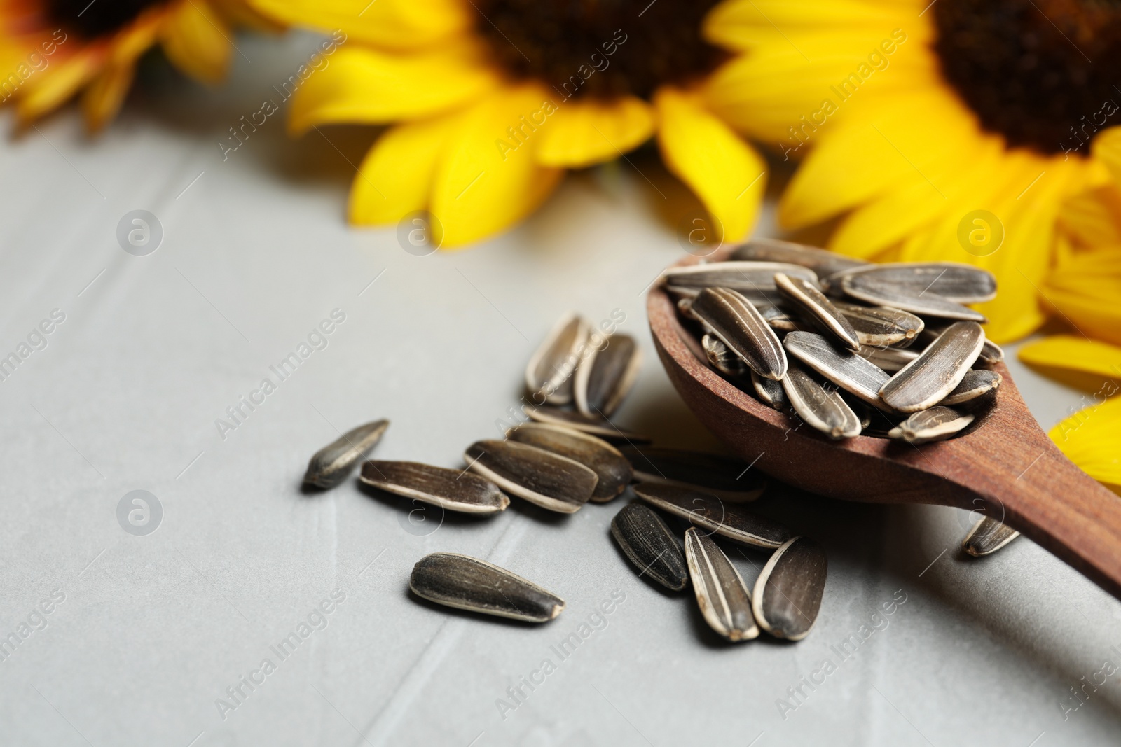Photo of Raw sunflower seeds and flowers on grey table, closeup. Space for text