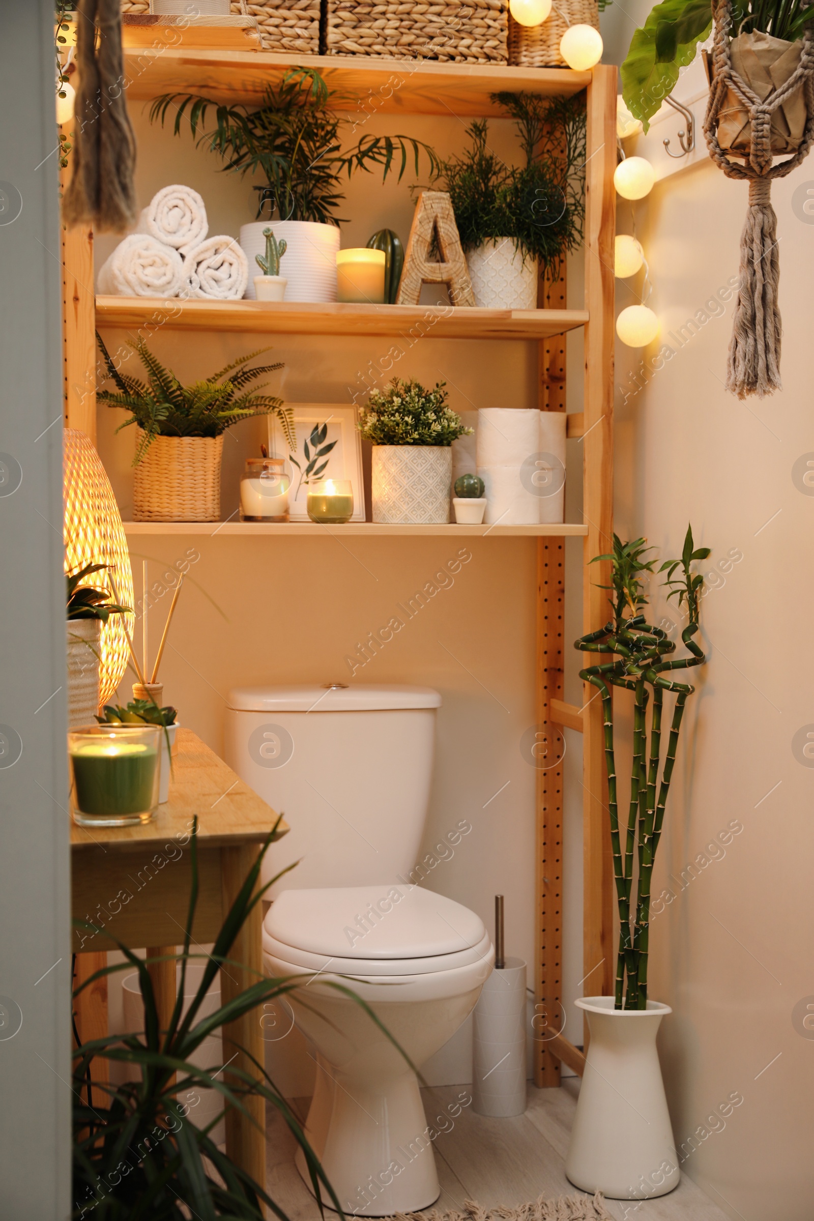 Photo of Stylish bathroom interior with toilet bowl and green plants