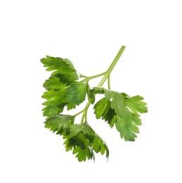 Fresh green organic parsley on white background