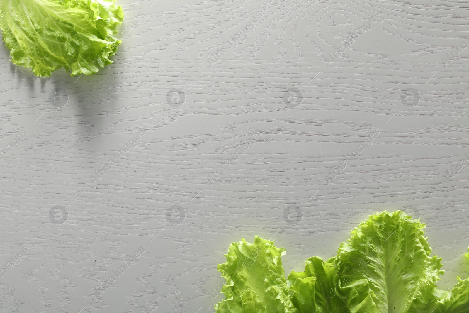 Photo of Food photography. Leaves of fresh lettuce on white wooden table, flat lay with space for text