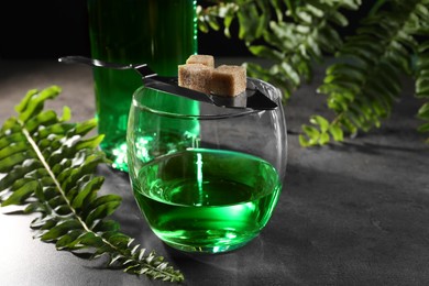 Photo of Absinthe in glass, spoon, brown sugar cubes and fern leaves on gray textured table, closeup. Alcoholic drink