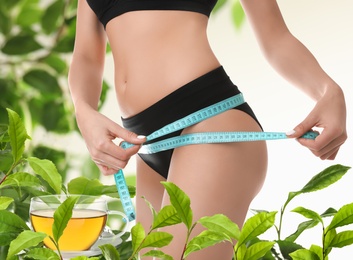 Image of Young woman measuring her body surrounded by green foliage, closeup. Tea leaves for slimming drink