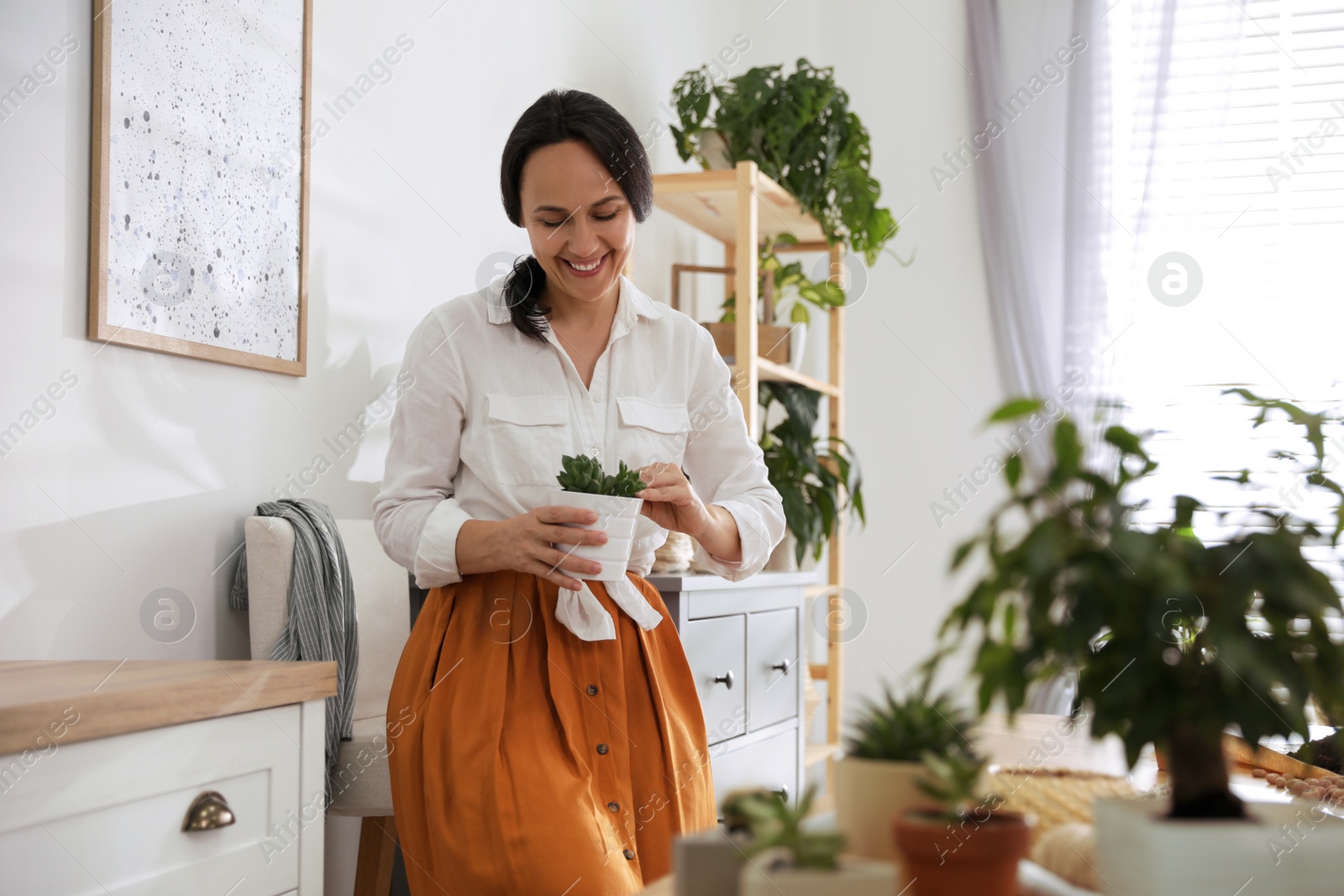 Photo of Mature woman with succulent plant at home. Engaging hobby