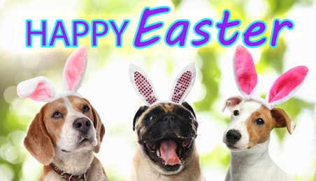 Image of Happy Easter. Cute dogs with bunny ears headbands outdoors 