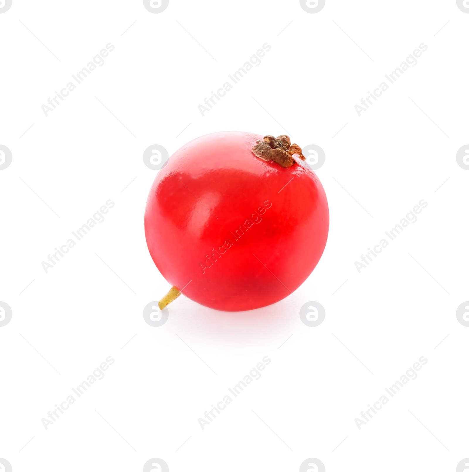 Photo of Delicious ripe red currant isolated on white