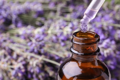 Photo of Natural essential oil dripping from pipette into bottle against lavender flowers, closeup. Space for text