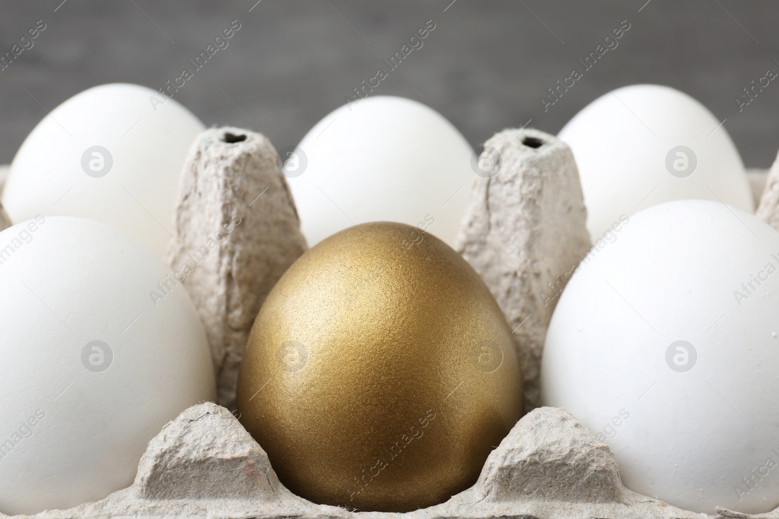 Photo of Golden egg and others in carton on grey background, closeup