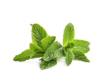 Fresh green mint leaves on white background