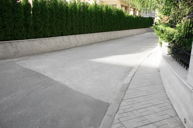 Photo of Asphalt road with sidewalk and green thujas