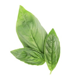 Photo of Leaves of fresh green basil on white background