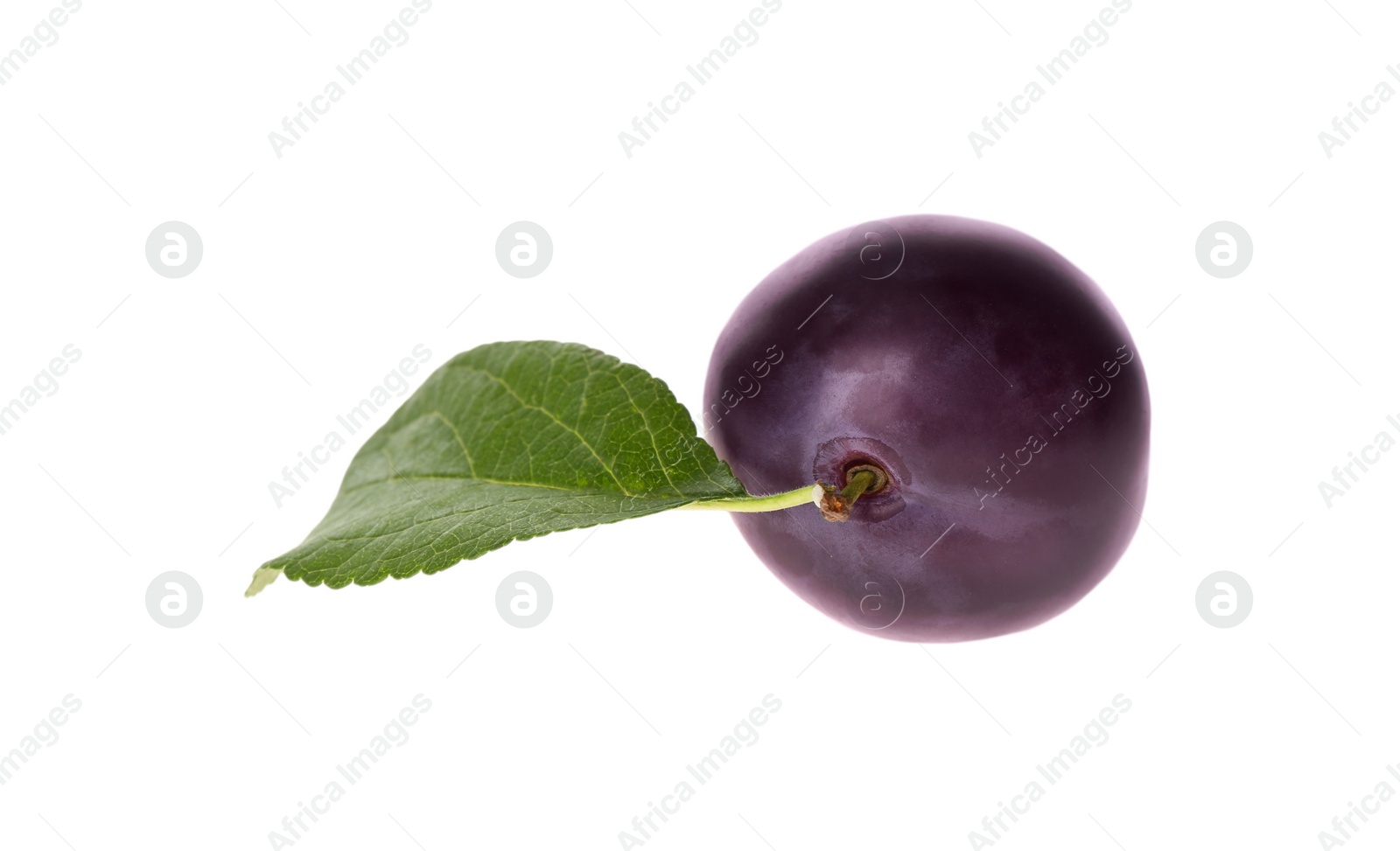 Photo of Delicious ripe plum with leaf isolated on white