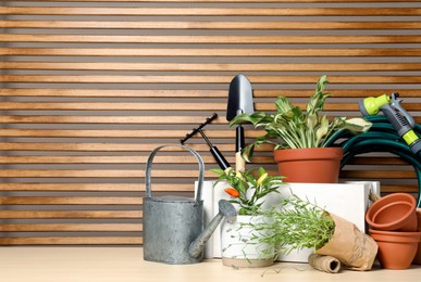 Gardening tools and houseplants on wooden table. Space for text