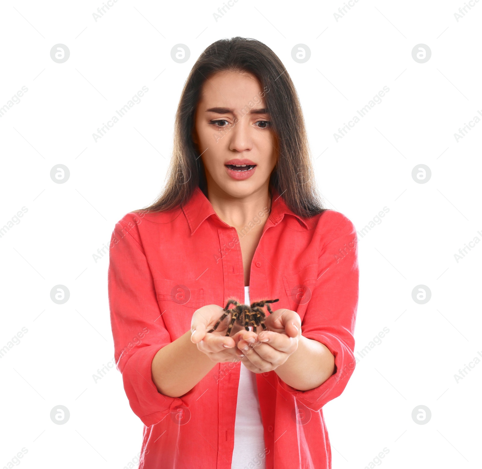 Photo of Scared young woman with tarantula on white background. Arachnophobia (fear of spiders)