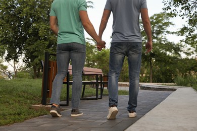 Photo of Gay couple walking in park on sunny day, back view
